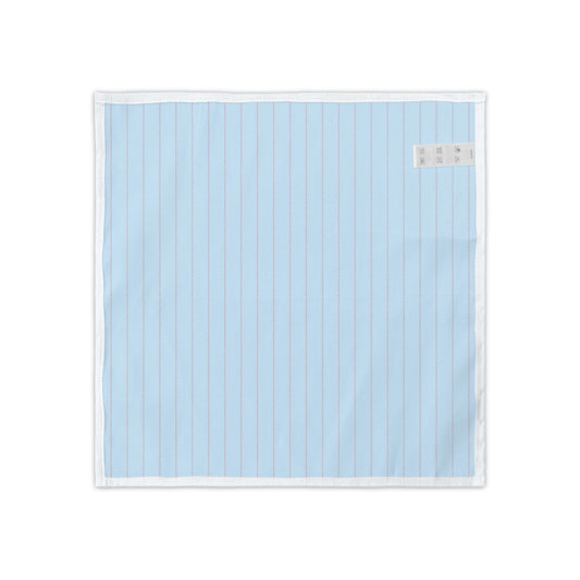Napkins | Oxford, Mississippi | Pinstripe