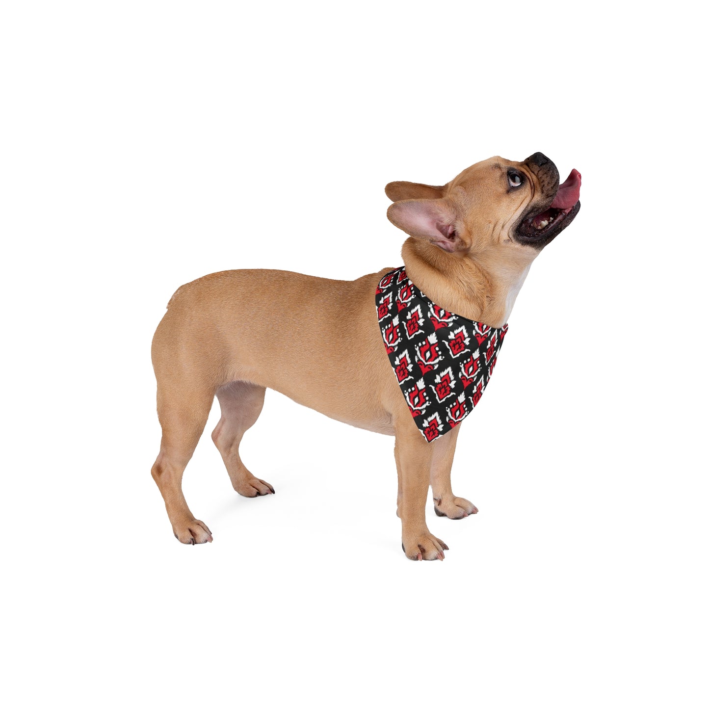 Pet Bandana | New Brunswick, New Jersey | Ikat