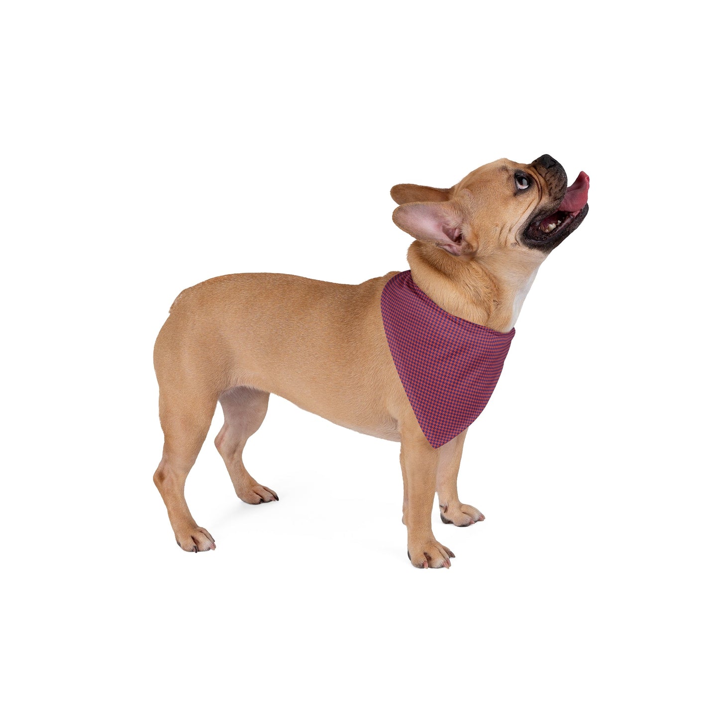 Pet Bandana | Bright Blue & Orange | Houndstooth