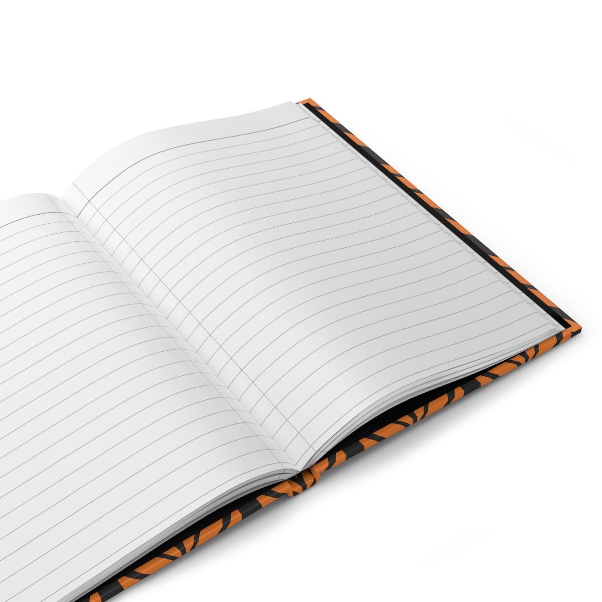 Journal | Princeton, New Jersey | Palm