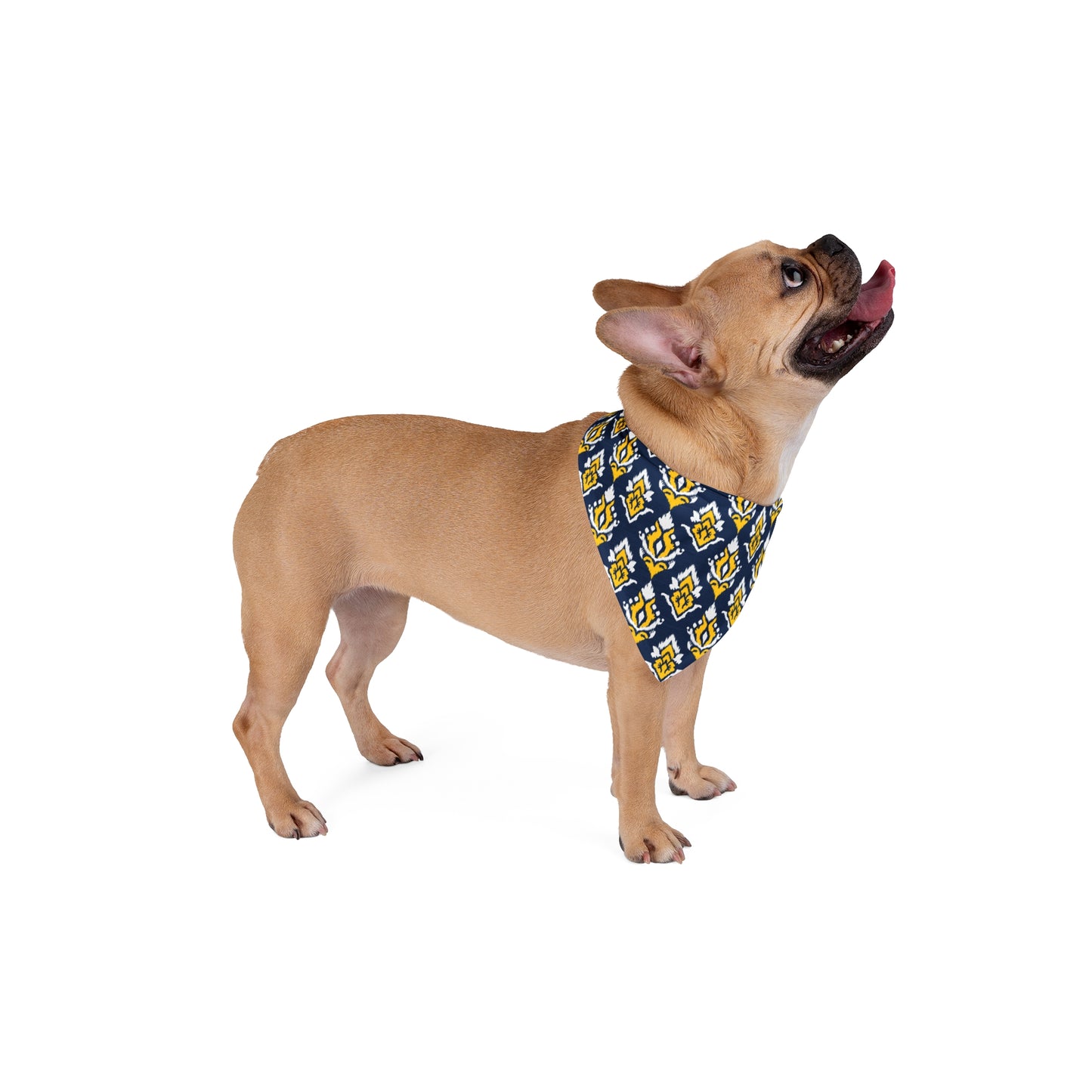 Pet Bandana | Ann Arbor, Michigan | Ikat