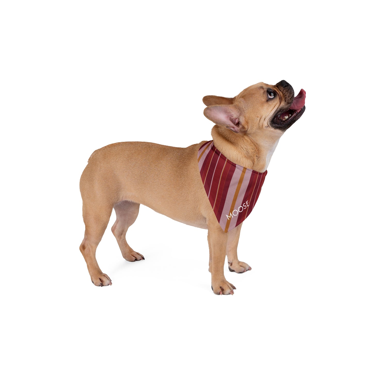 Pet Bandana- Personalized | Red & Yellow | Stripe