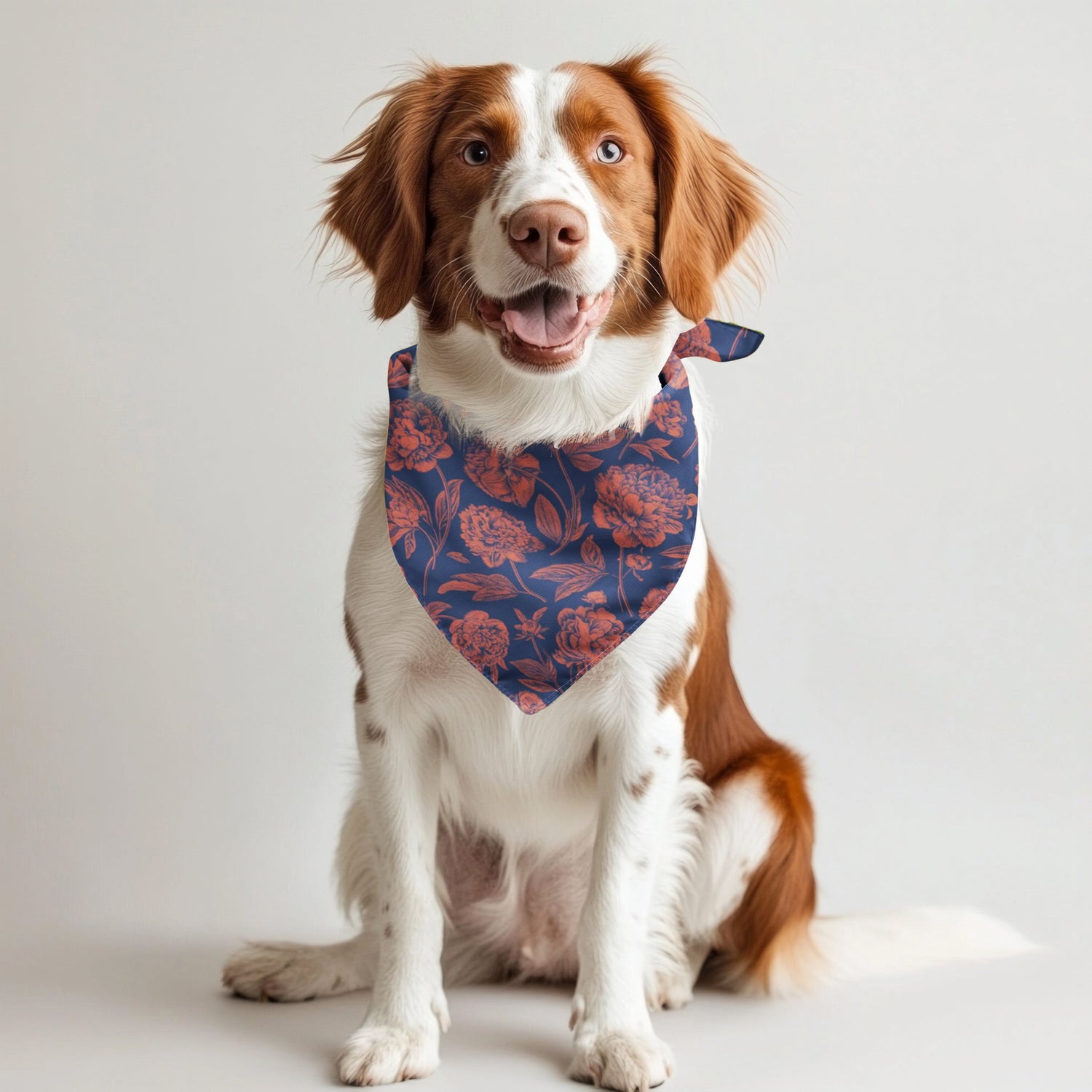 Charlottesville | Pet Bandanas