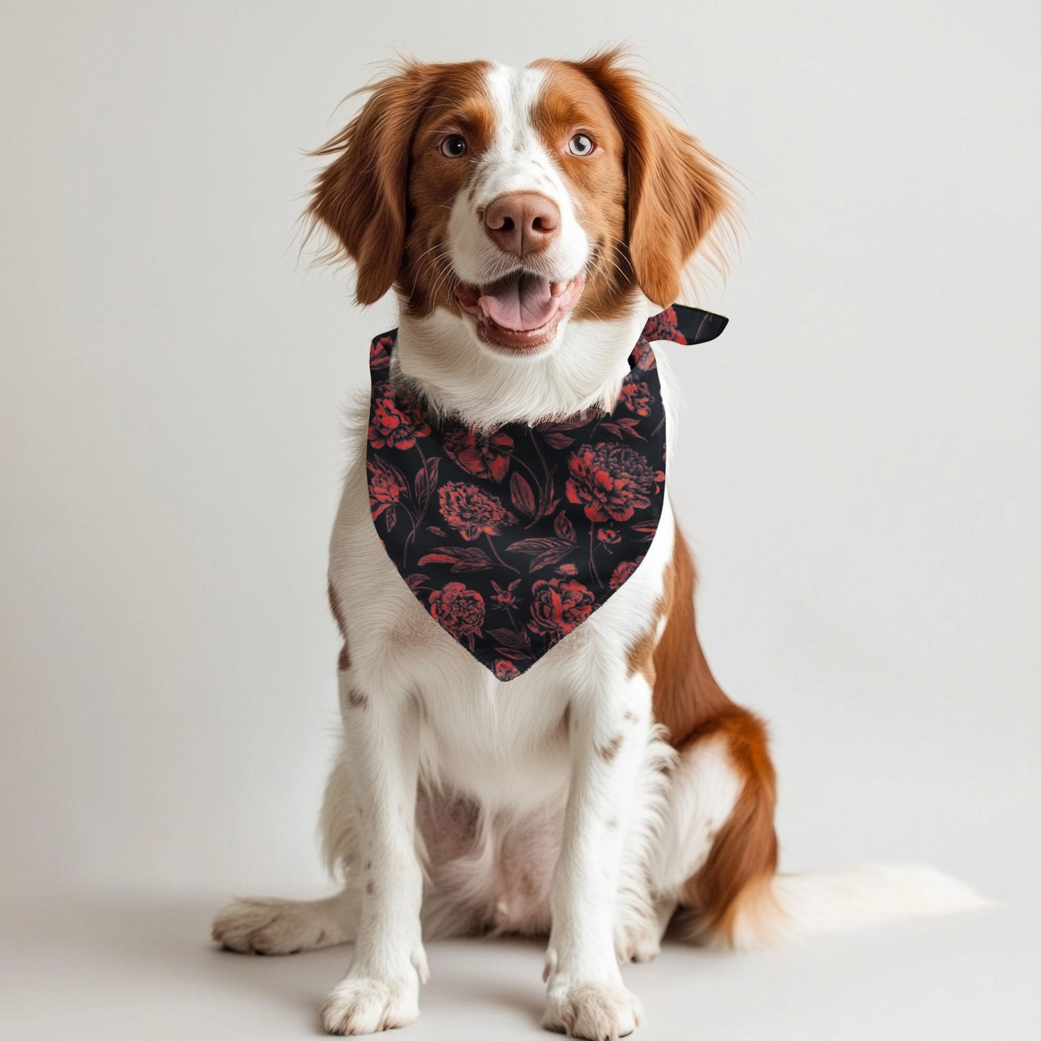 Athens | Pet Bandanas