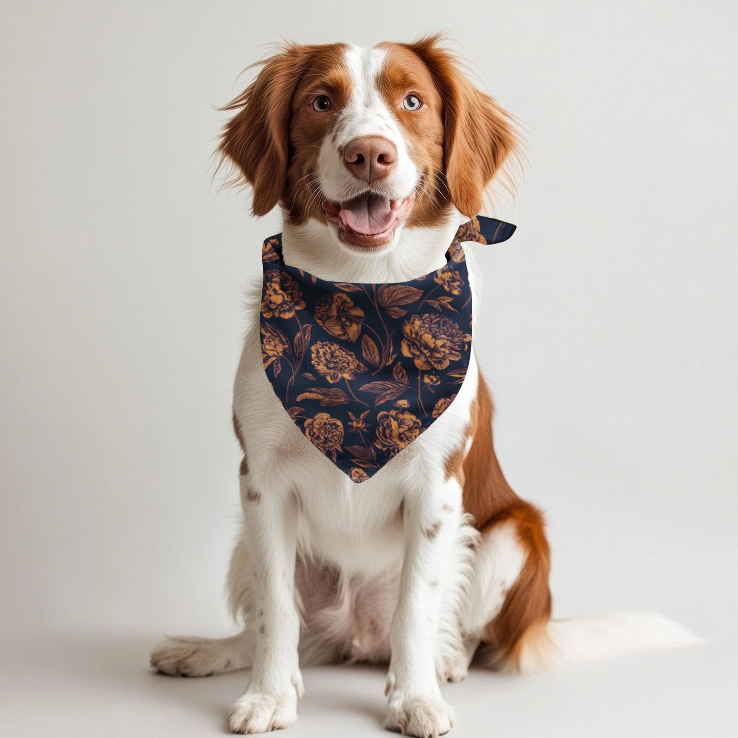 Auburn | Pet Bandanas