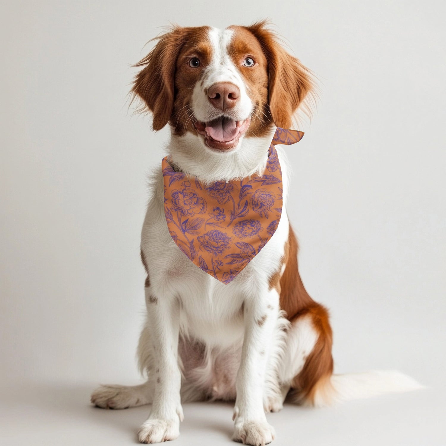 Clemson | Pet Bandanas