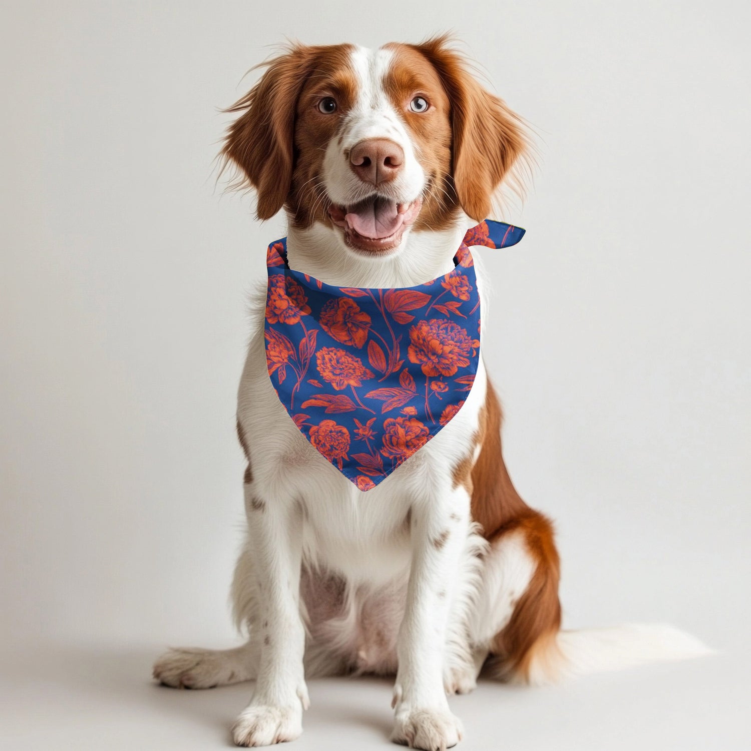 Gainesville | Pet Bandanas