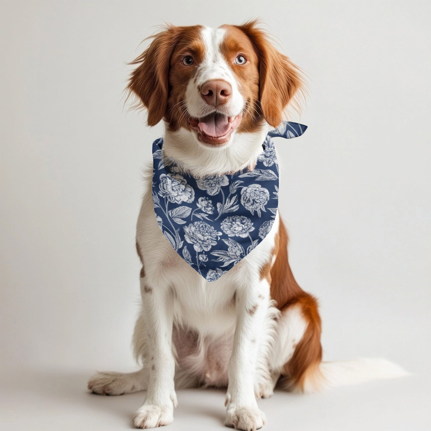 State College | Pet Bandanas