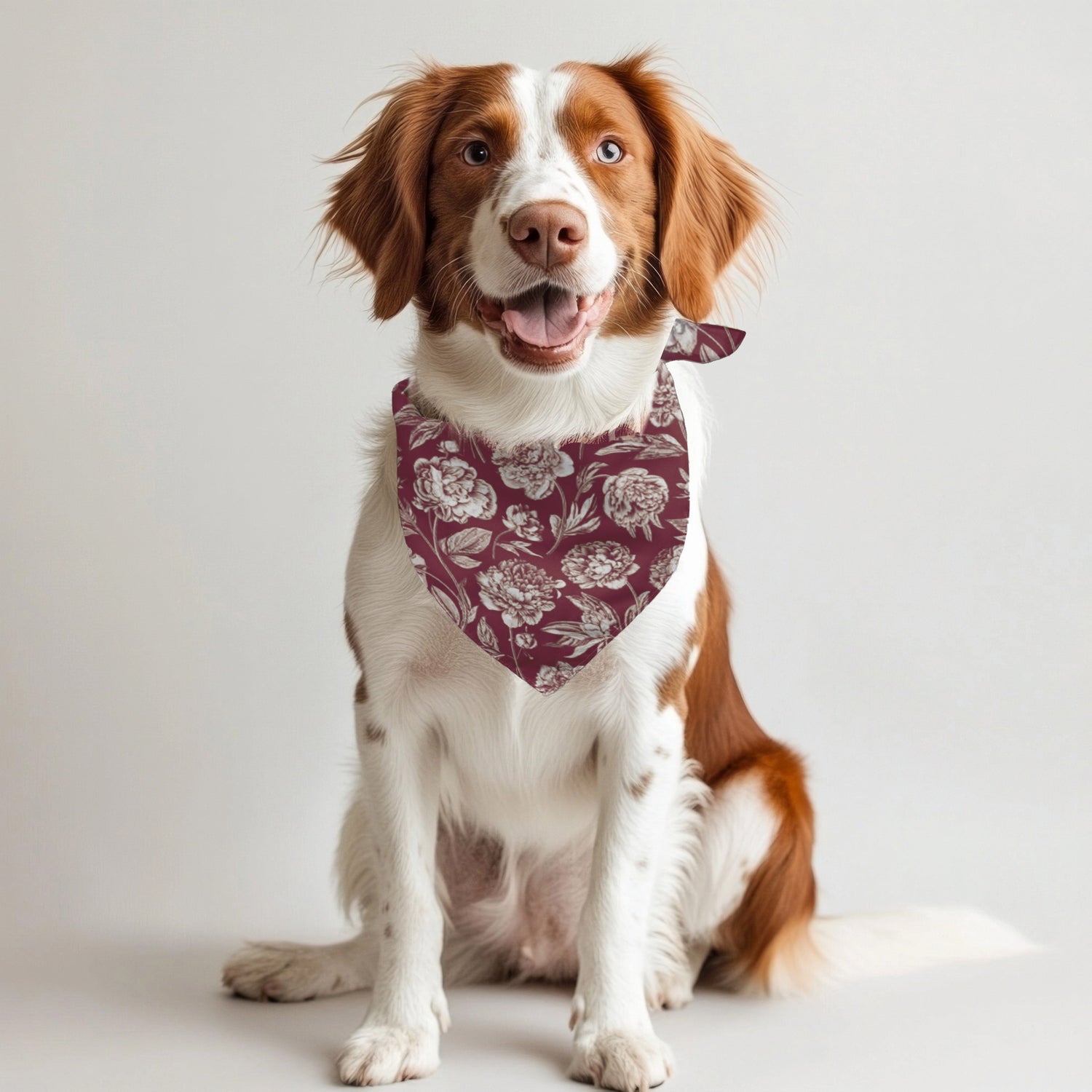Tuscaloosa | Pet Bandana