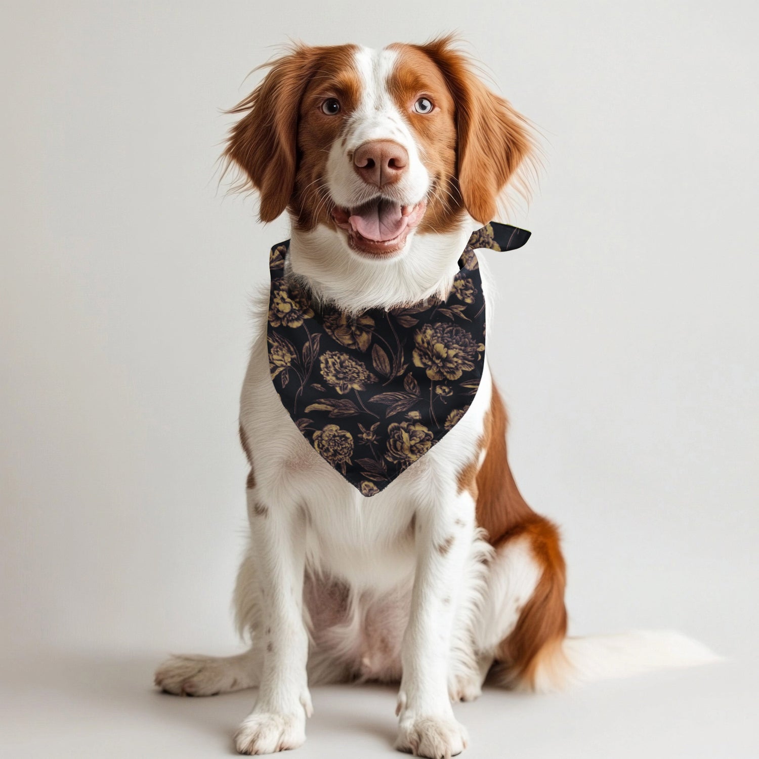Winston Salem | Pet Bandana