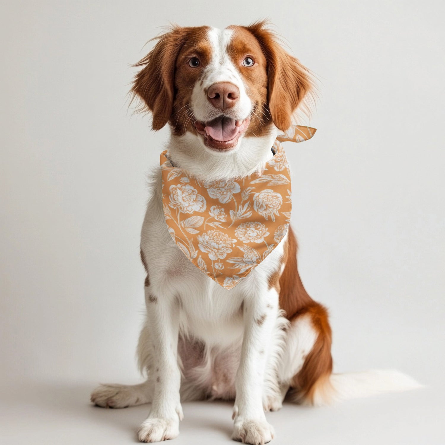 Knoxville | Pet Bandanas