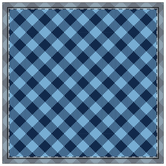 Napkins | Chapel Hill, North Carolina | Gingham