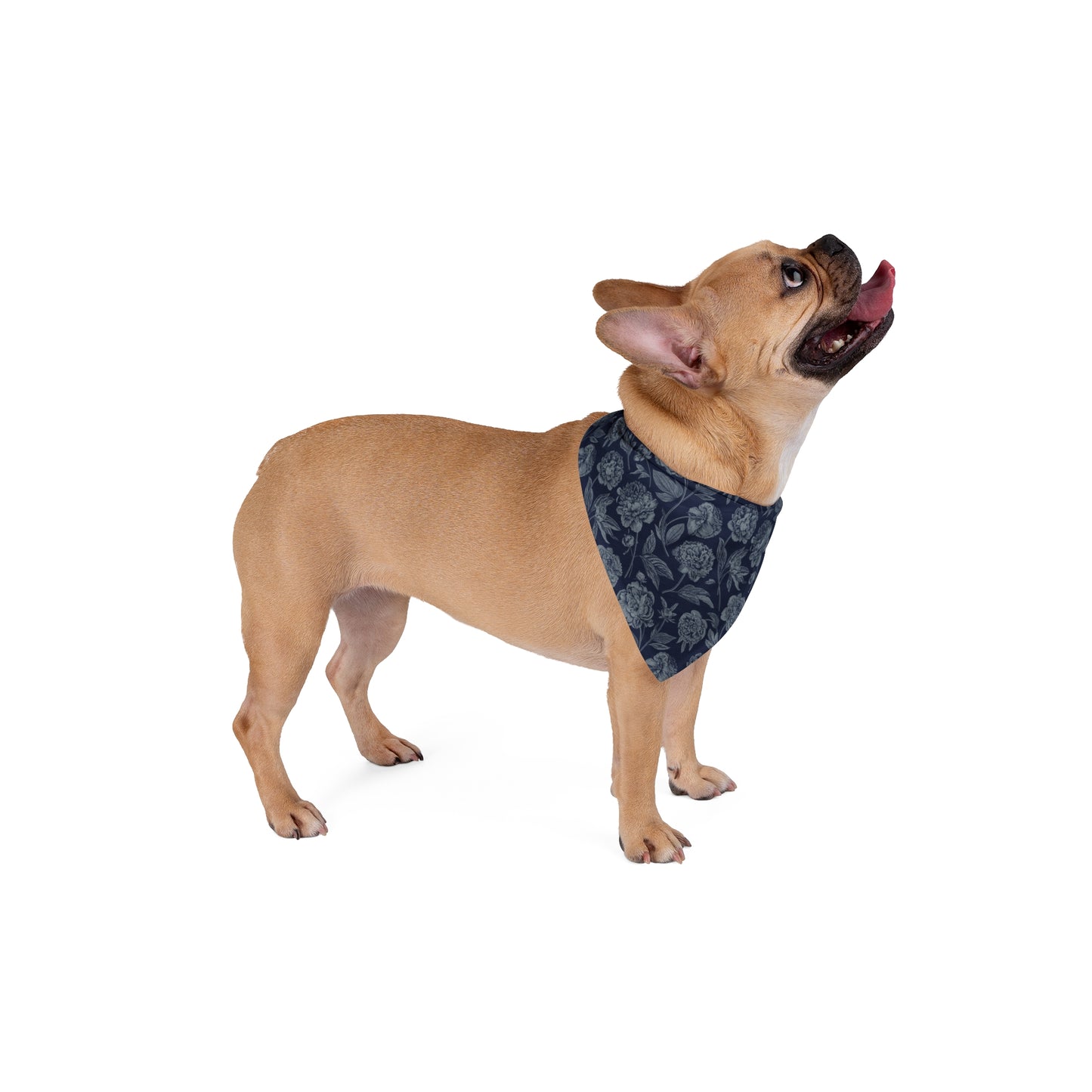 Pet Bandana | Storrs, Connecticut | Peony