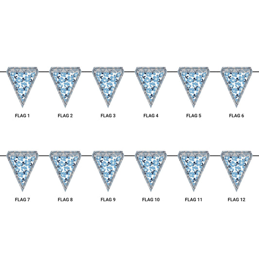 Flag Garland | Light Blue & White | Poppy