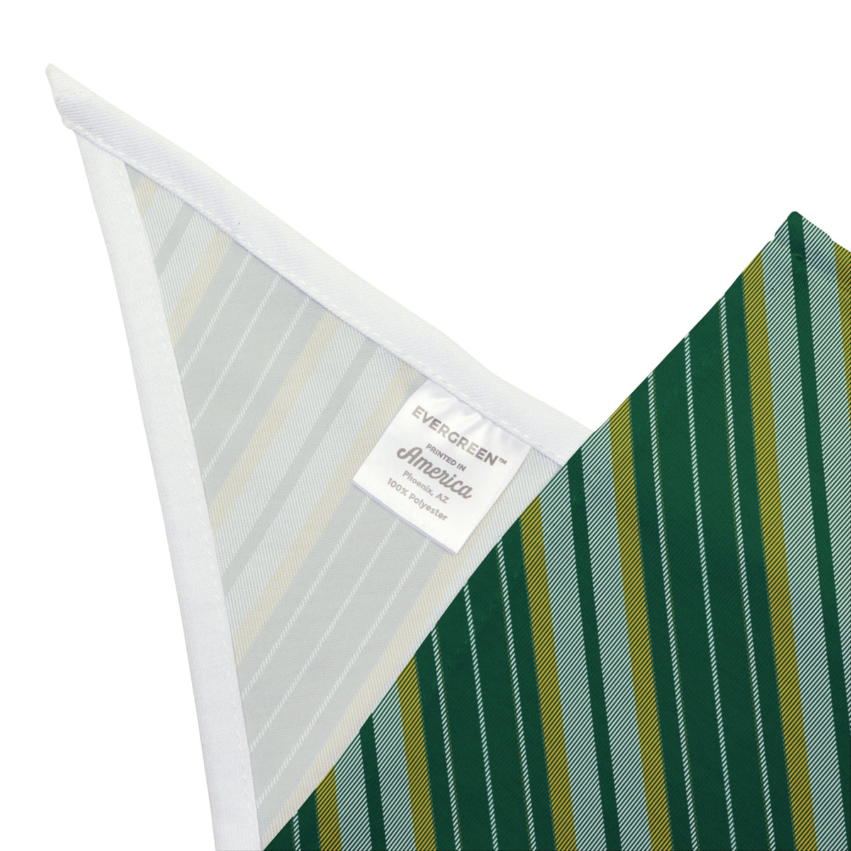 Pet Bandana | Fairfax, Virginia | Stripe