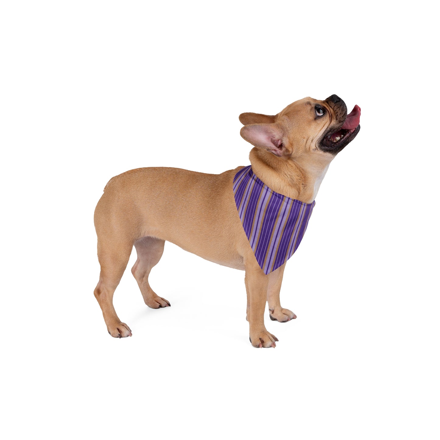 Pet Bandana | Baton Rouge, Louisiana | Stripe