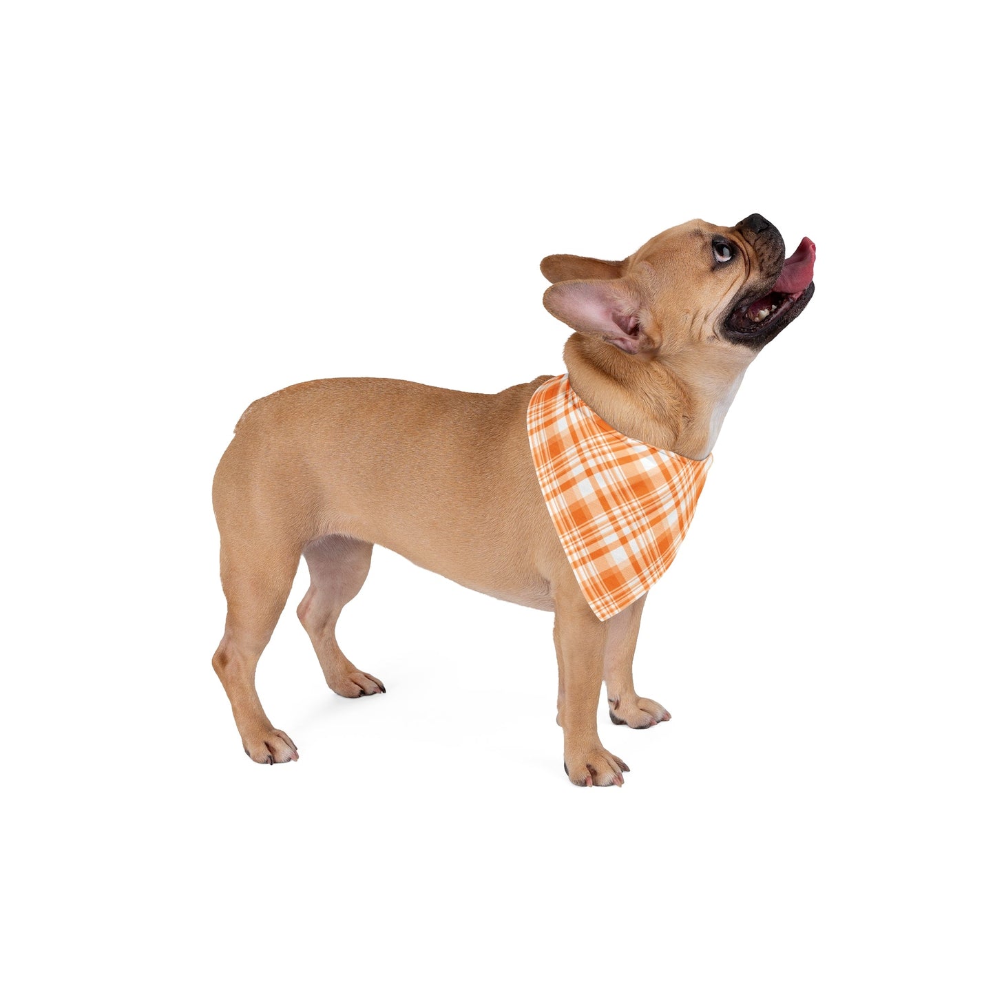 Pet Bandana | Orange & White | Tartan