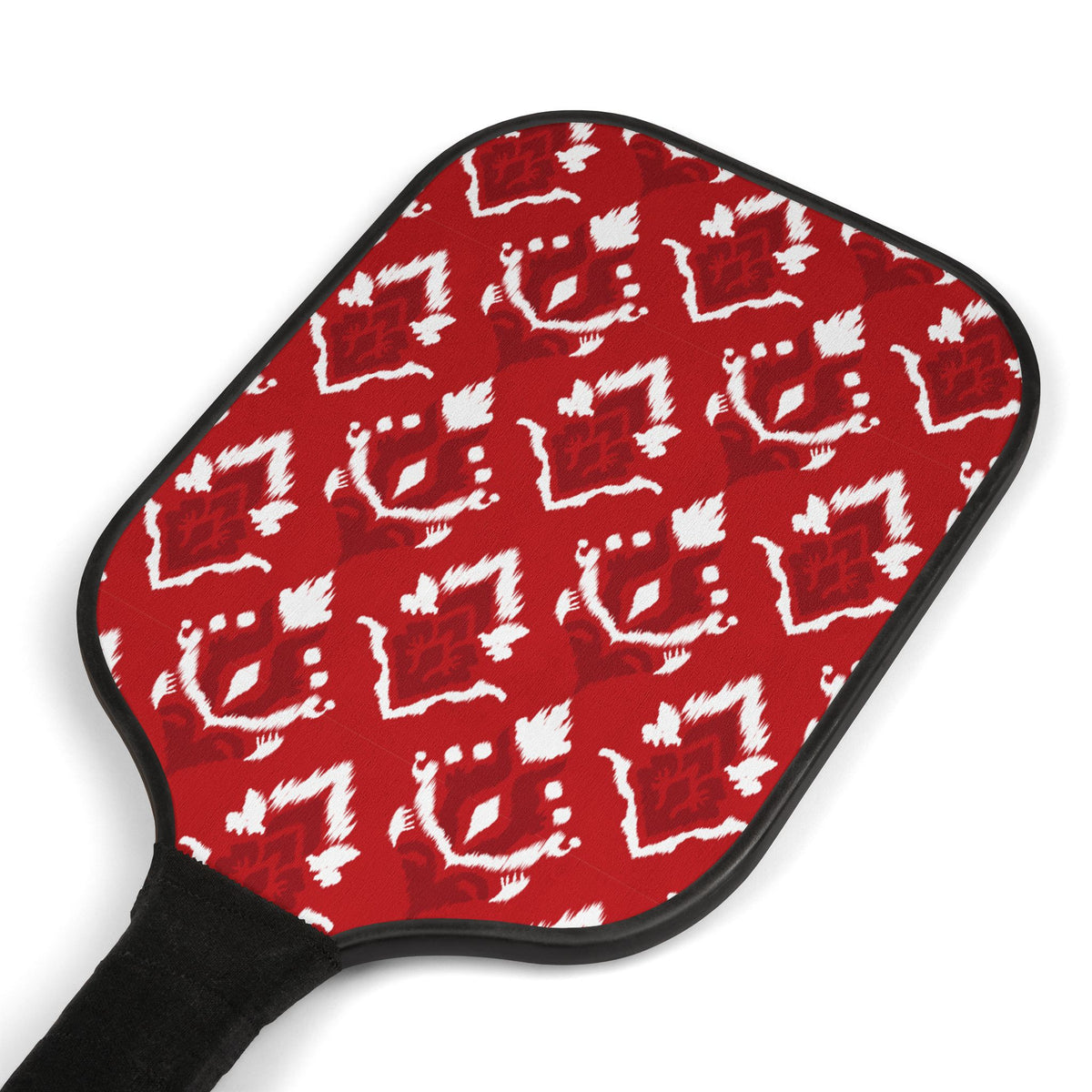 Pickleball Paddle Kit | Madison, Wisconsin | Ikat
