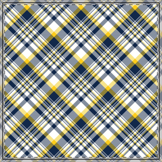 Tablecloth | Ann Arbor, Michigan | Tartan