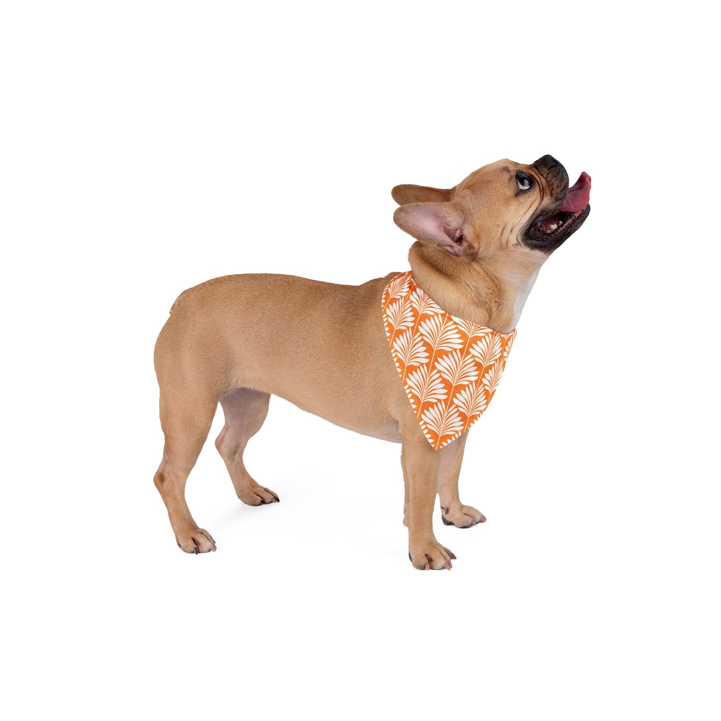Pet Bandana | Orange & White | Deco