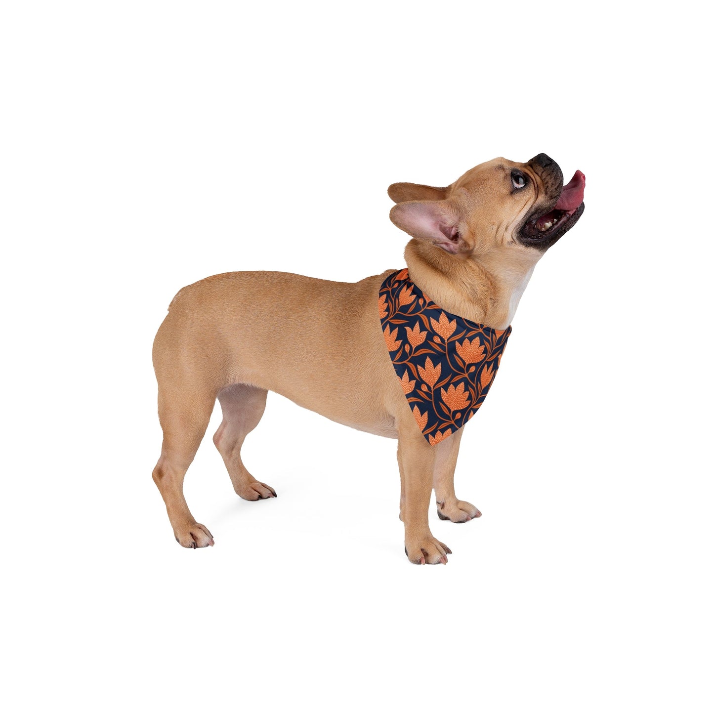 Pet Bandana | Orange & Blue | Magnolia