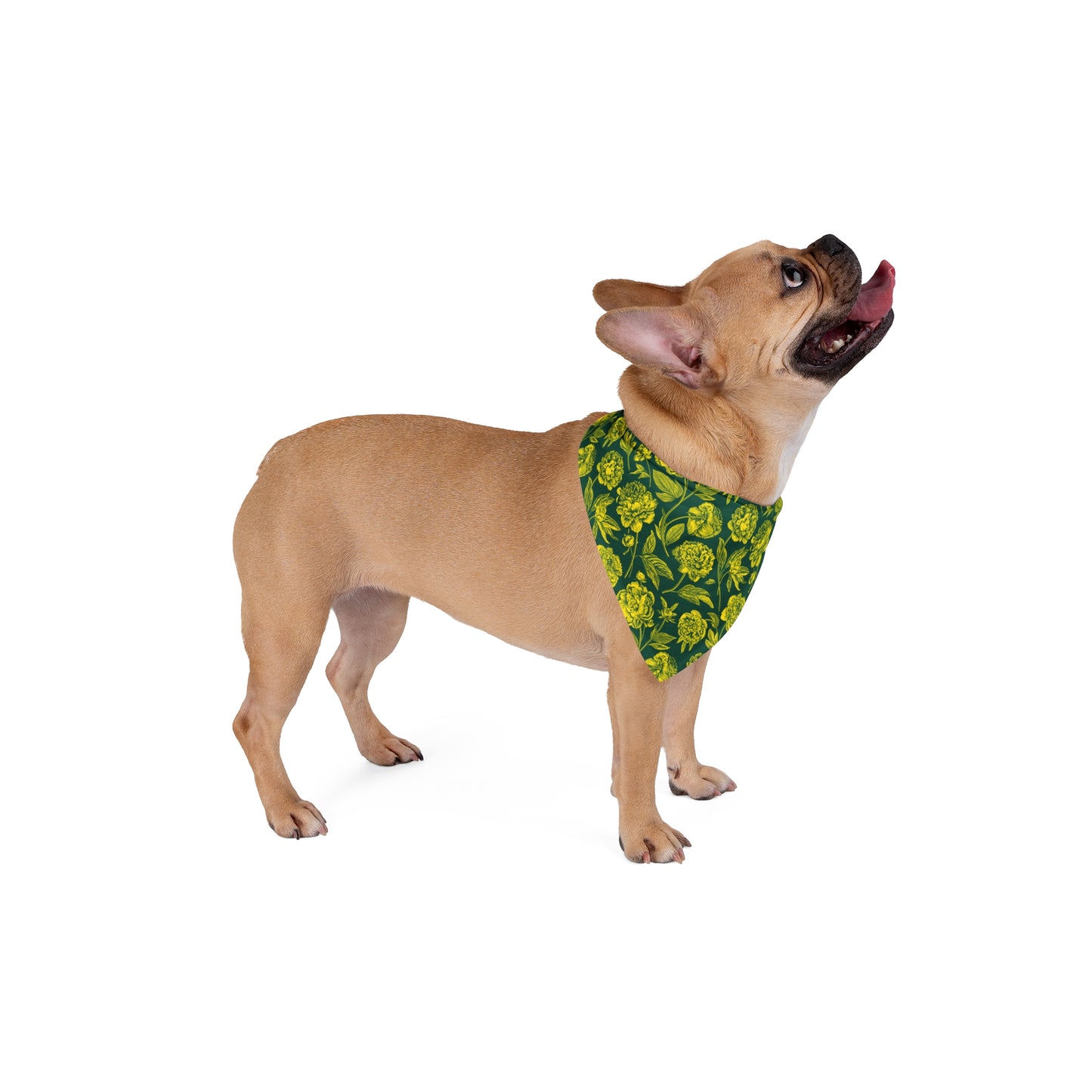 Pet Bandana | Eugene, Oregon | Peony