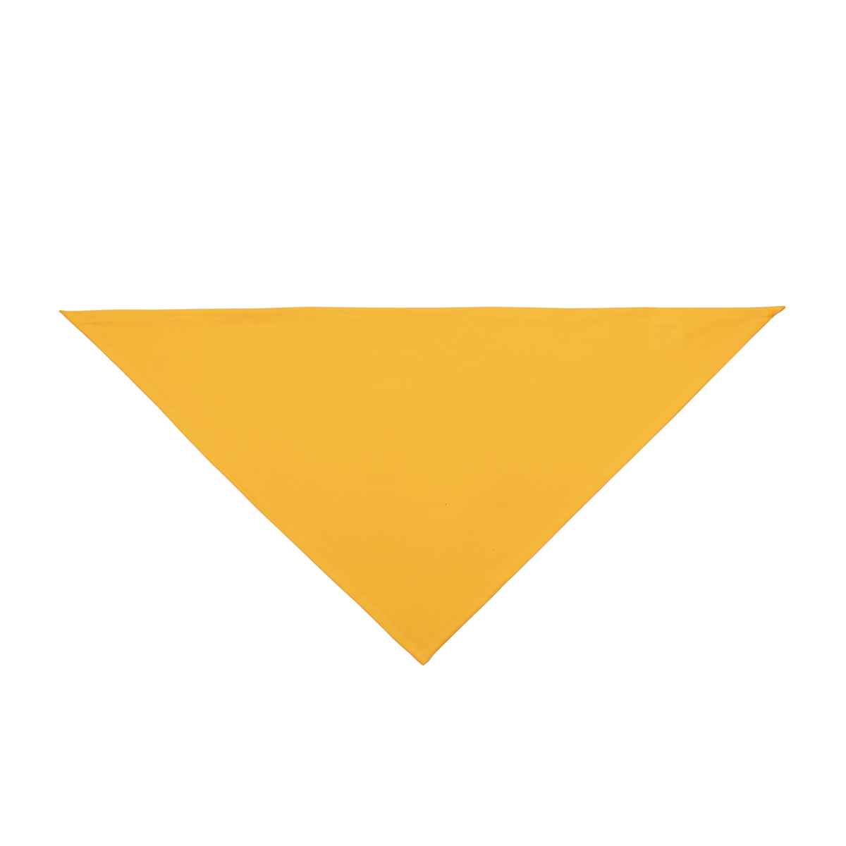 Pet Bandana | Kennesaw, Georgia | Light (Orange)