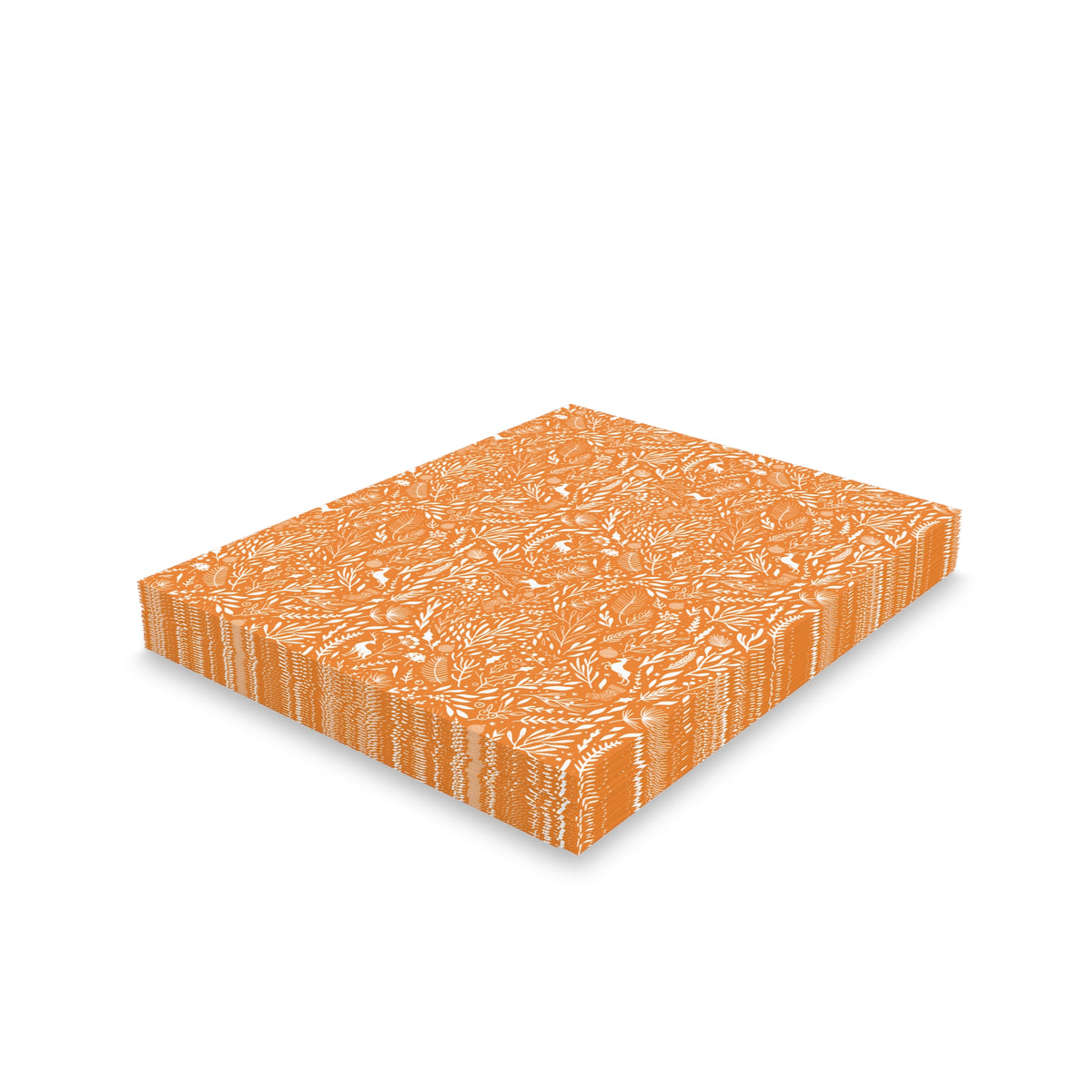 Notecards | Knoxville, Tennessee | Fauna