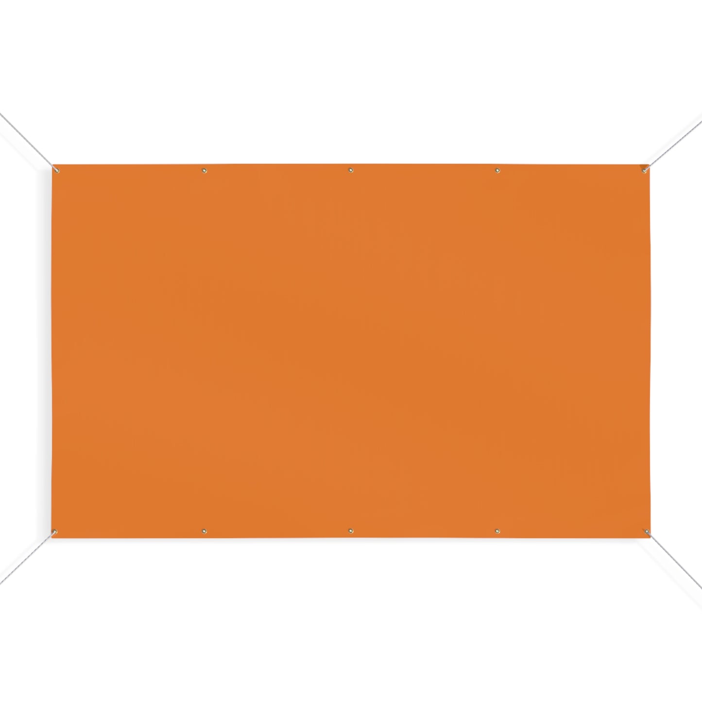 Banner | Princeton, New Jersey | Light