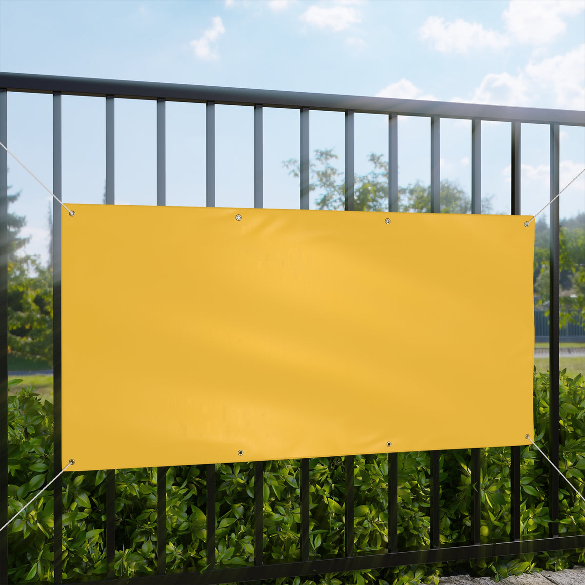 Banner | Fairfax, Virginia | Light