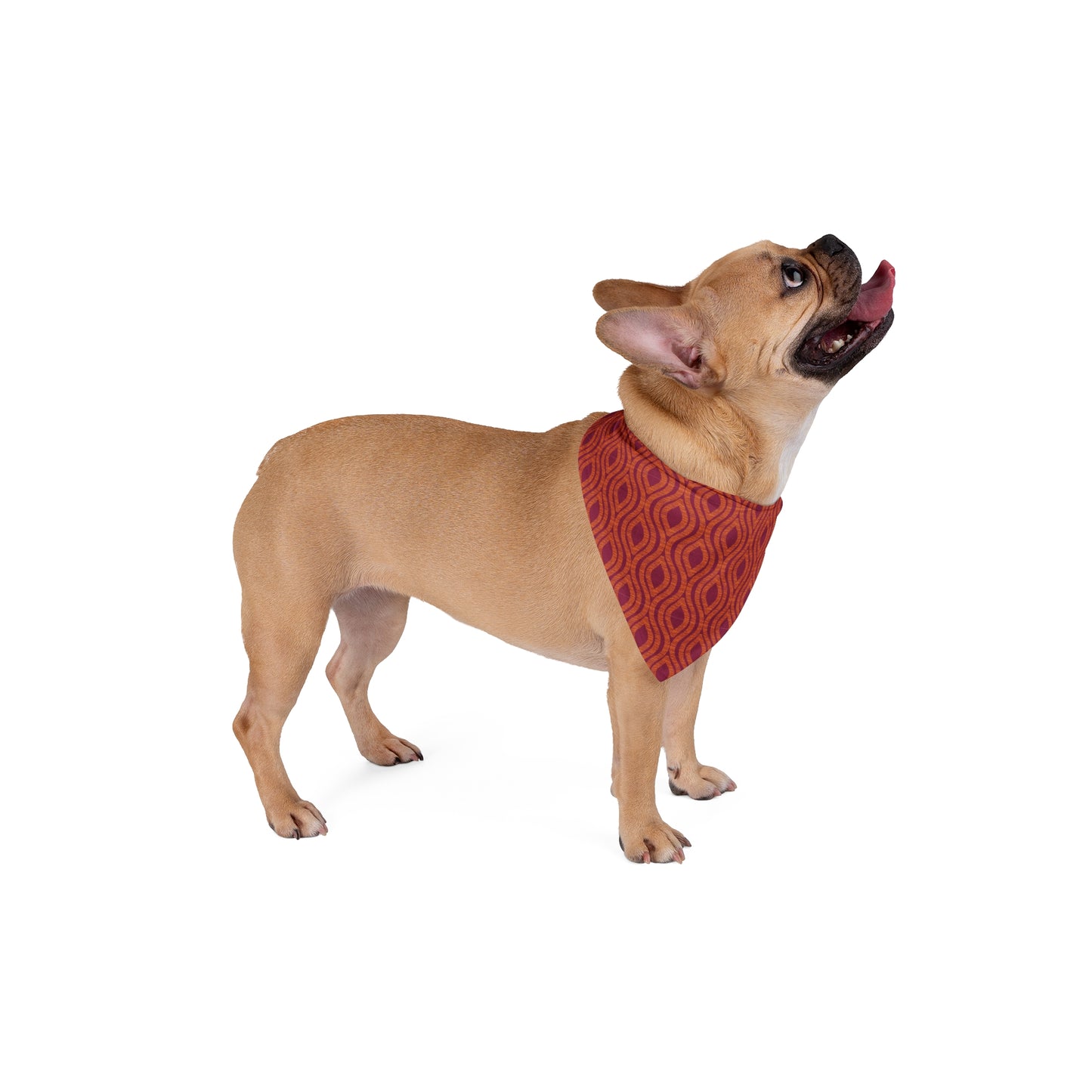 Pet Bandana | Blacksburg, Virginia | Ogee