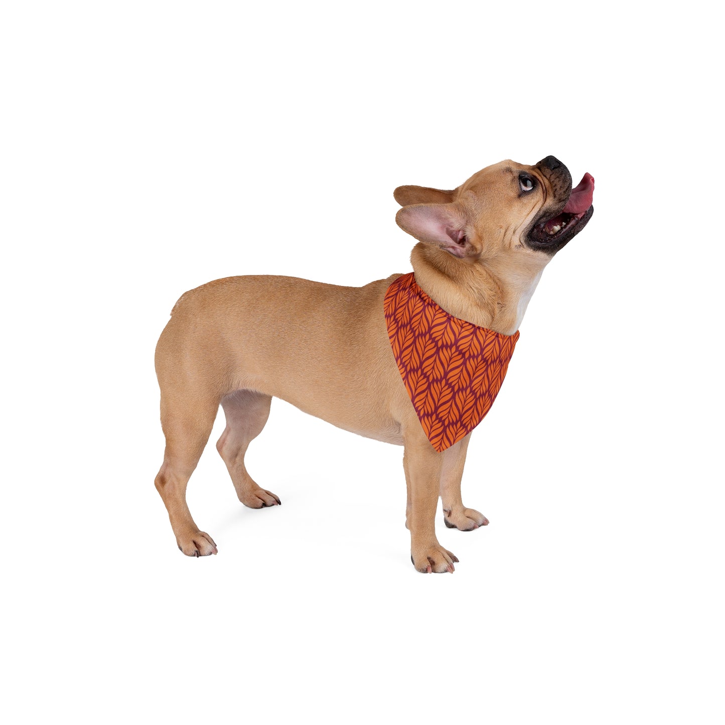 Pet Bandana | Blacksburg, Virginia | Palm
