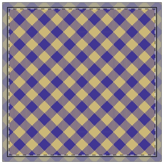 Napkins | Harrisonburg, Virginia | Gingham