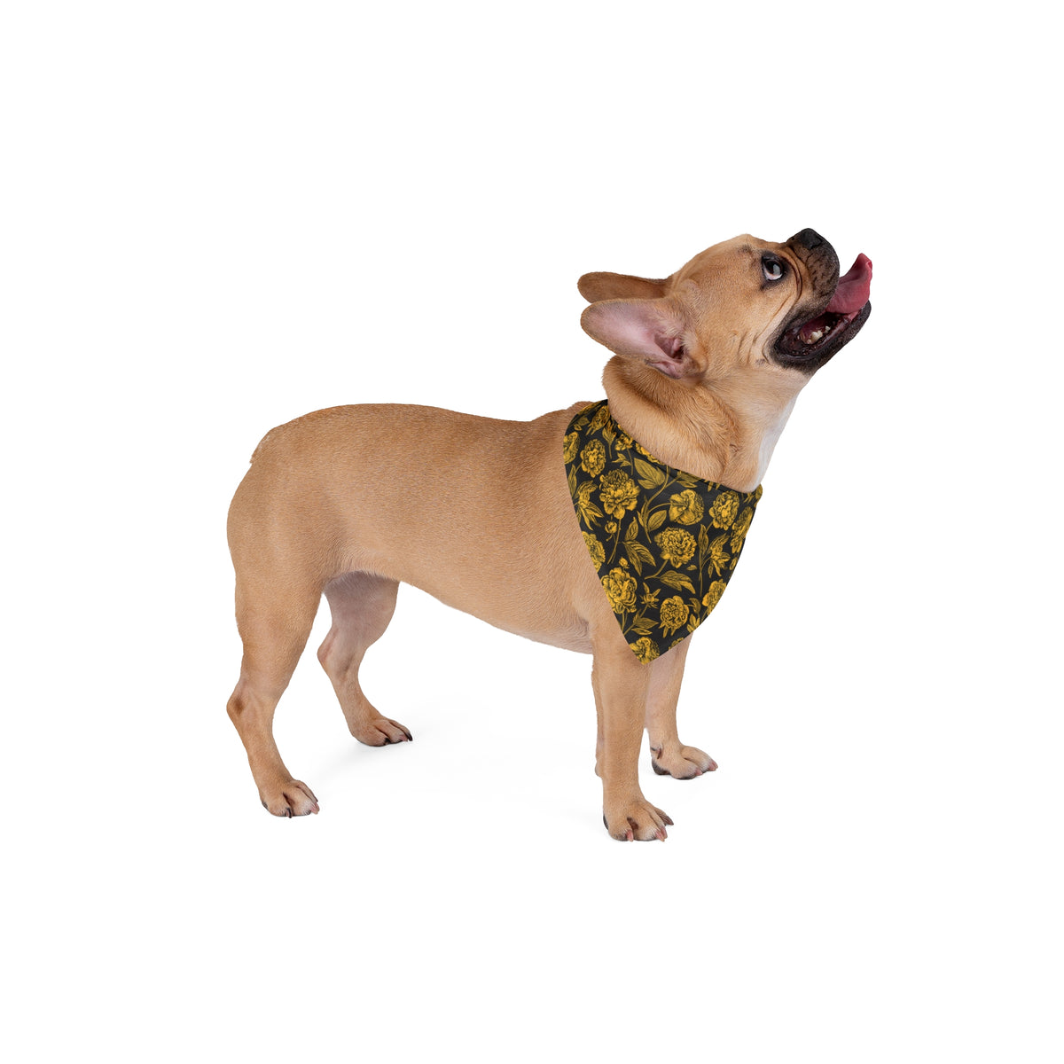 Pet Bandana | Kennesaw, Georgia | Peony