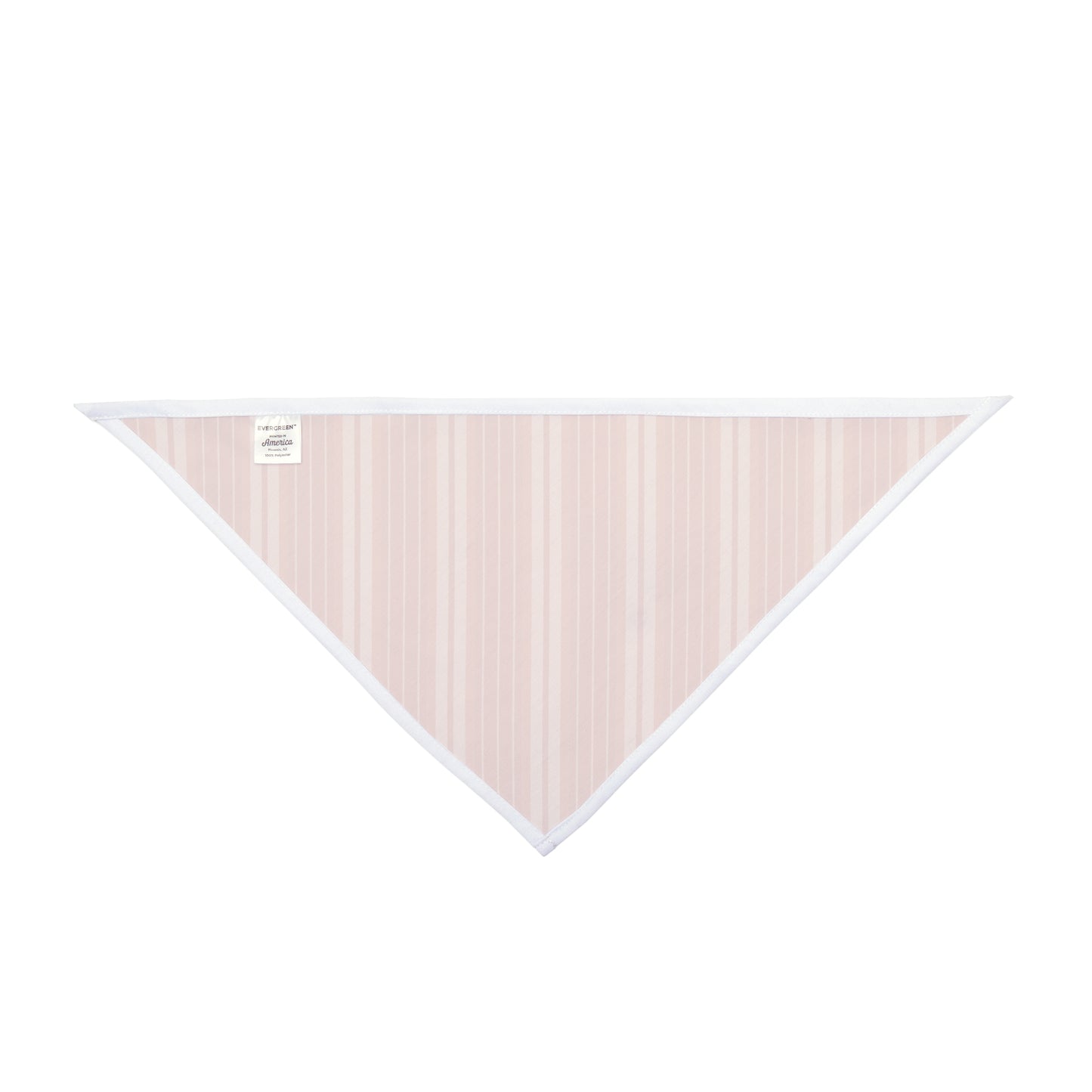 Pet Bandana | Austin, Texas | Stripe