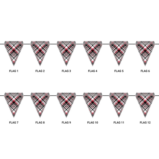 Flag Garland | New Brunswick, New Jersey | Tartan