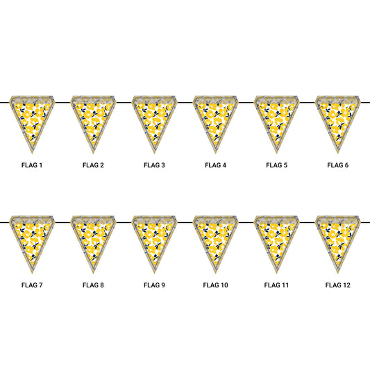 Flag Garland | Ann Arbor, Michigan | Poppy