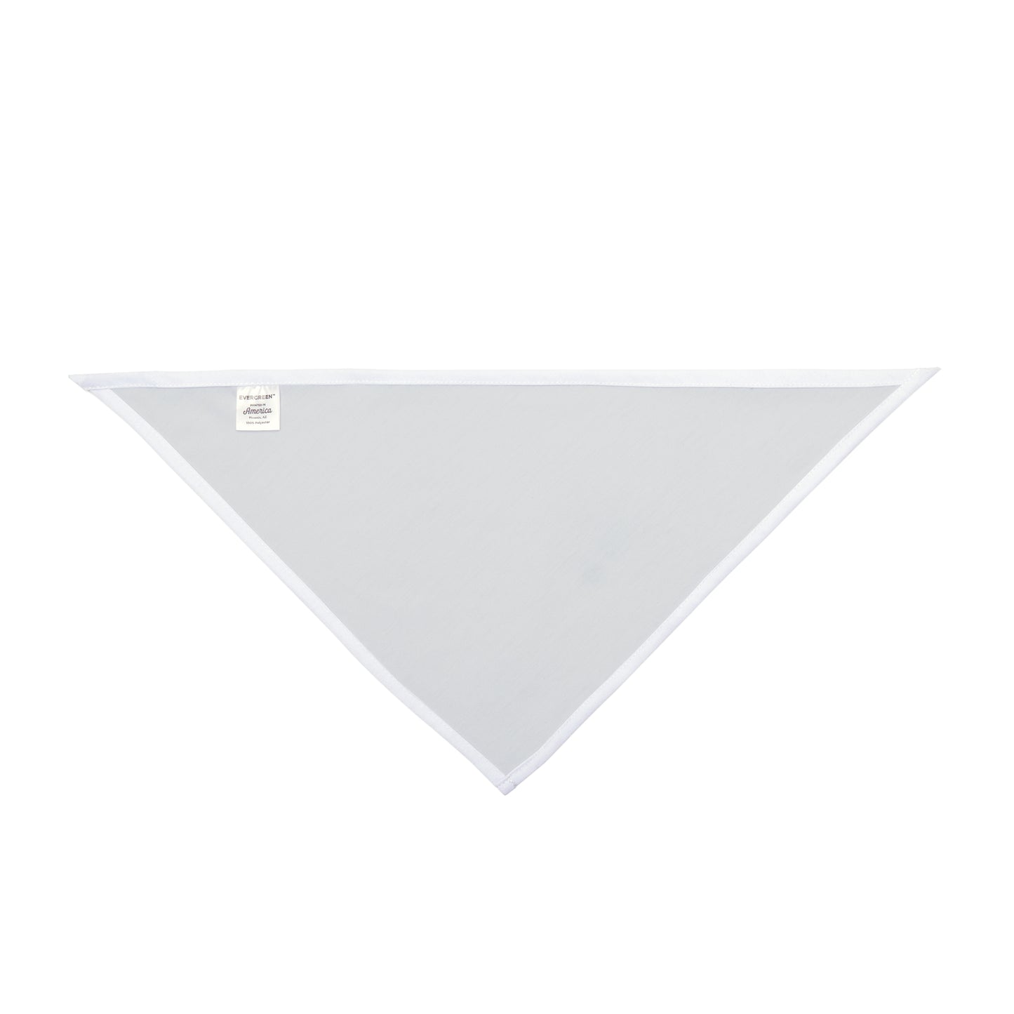 Pet Bandana | Storrs, Connecticut | Light