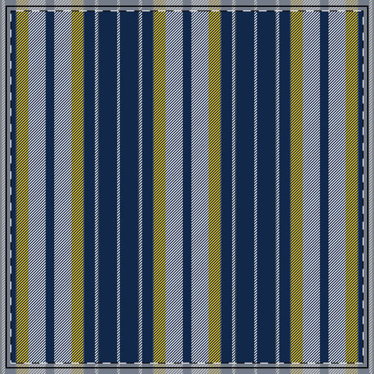 Tablecloth | Ann Arbor, Michigan | Stripe