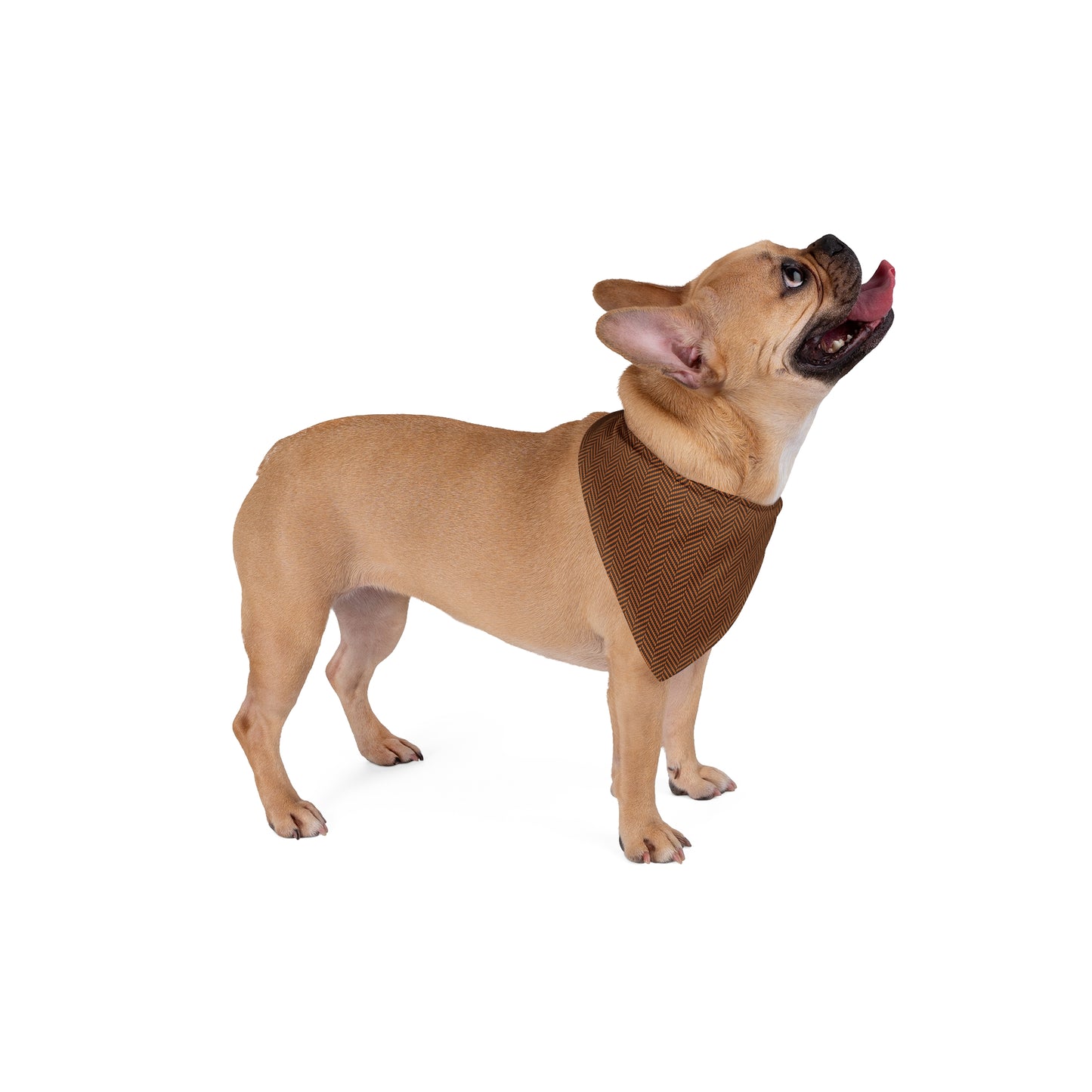 Pet Bandana | Princeton, New Jersey | Herringbone