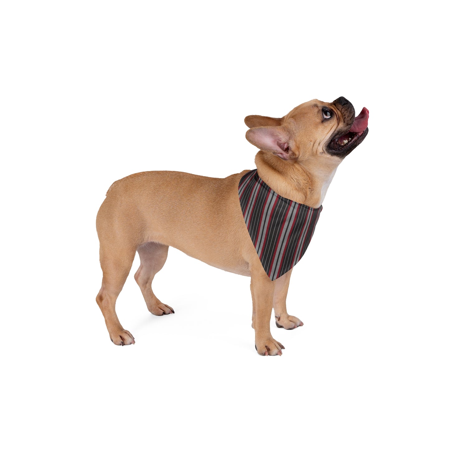 Pet Bandana | Raleigh, North Carolina | Stripe