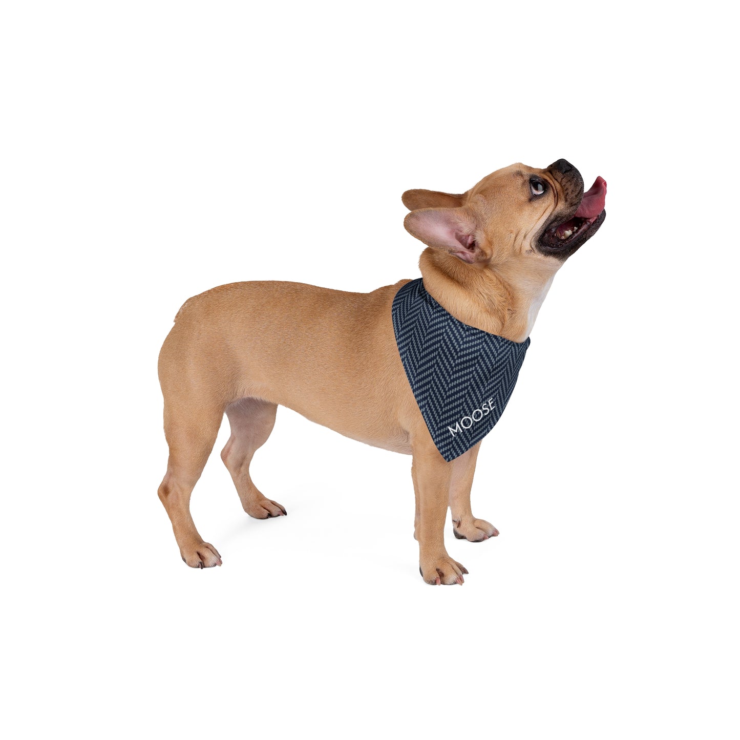 Pet Bandana- Personalized | Navy & White | Herringbone