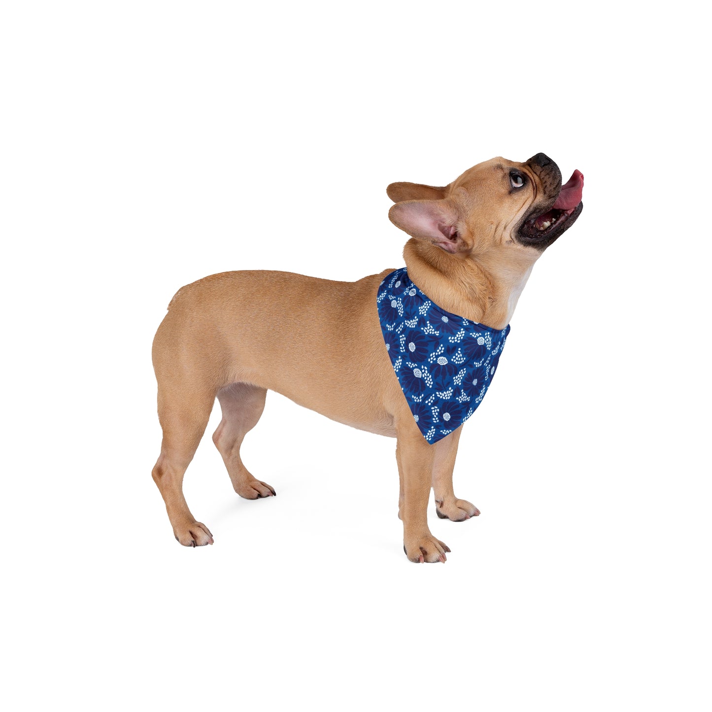 Pet Bandana | Durham, North Carolina | Bellis