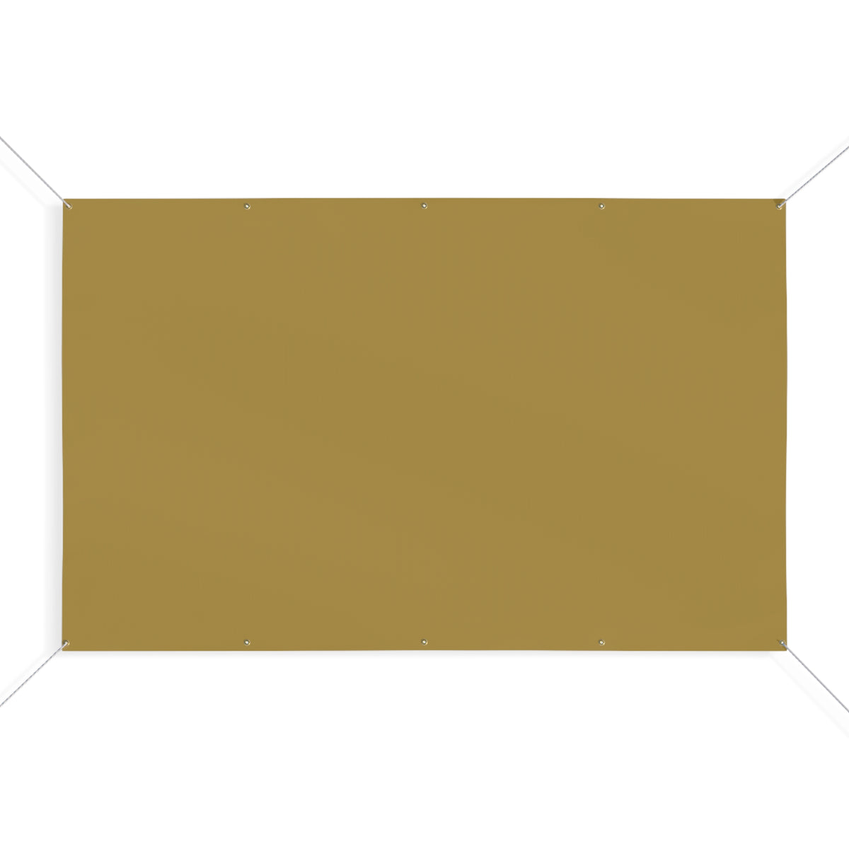 Banner | Notre Dame, Indiana | Light