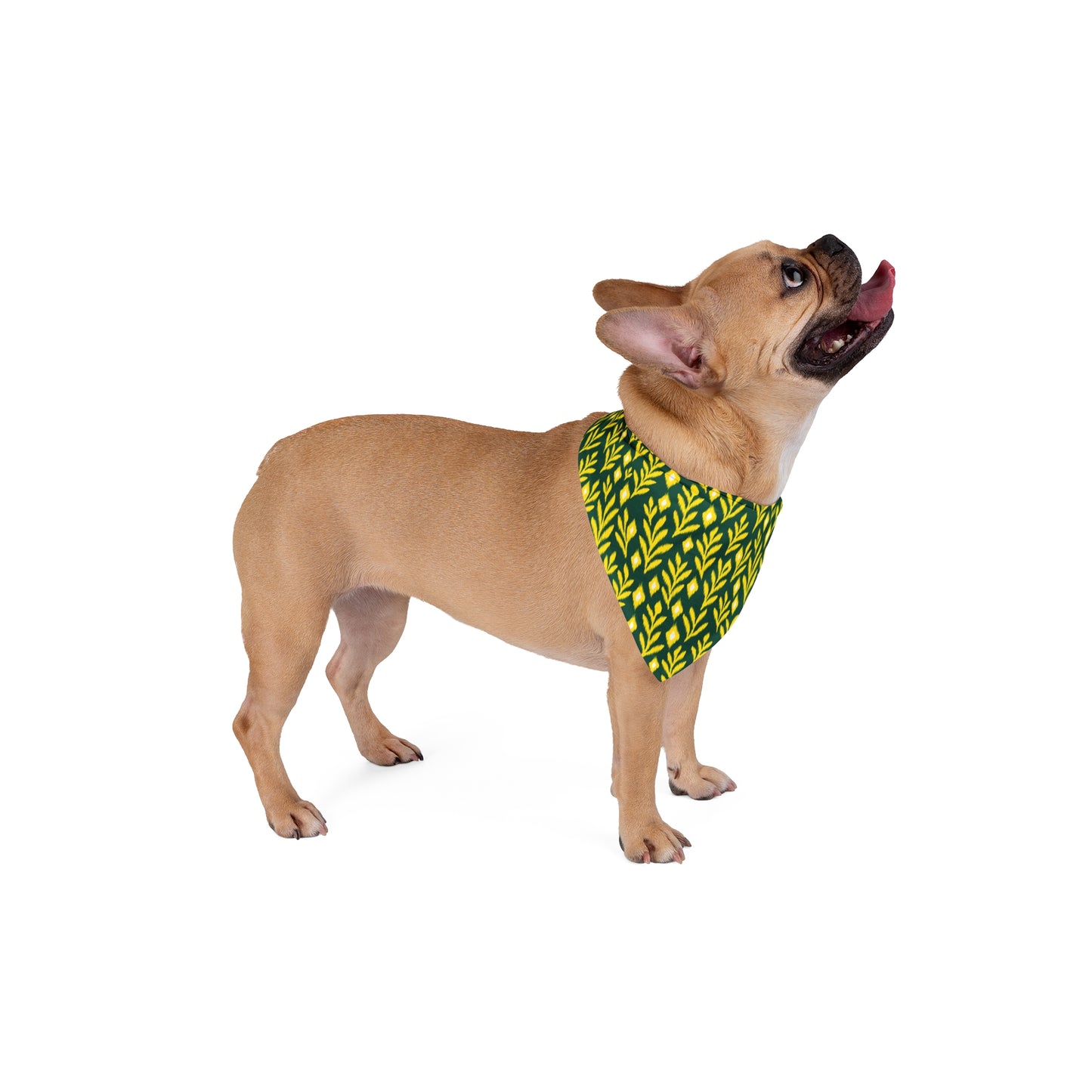 Pet Bandana | Eugene, Oregon | Laurel