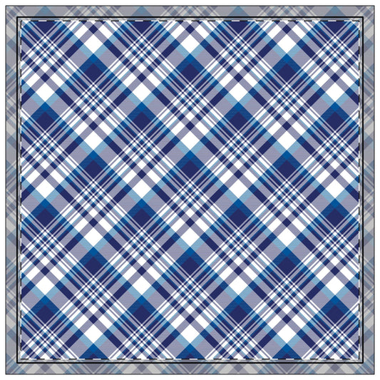 Napkins | Durham, North Carolina | Tartan