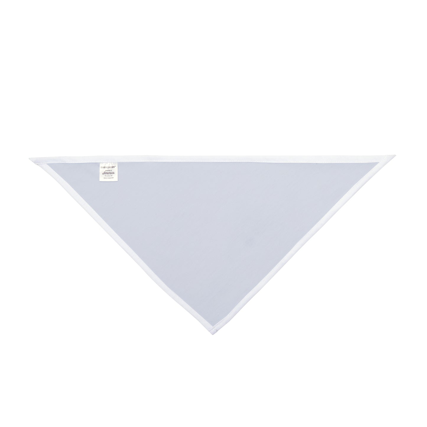 Pet Bandana | Durham, North Carolina | Light
