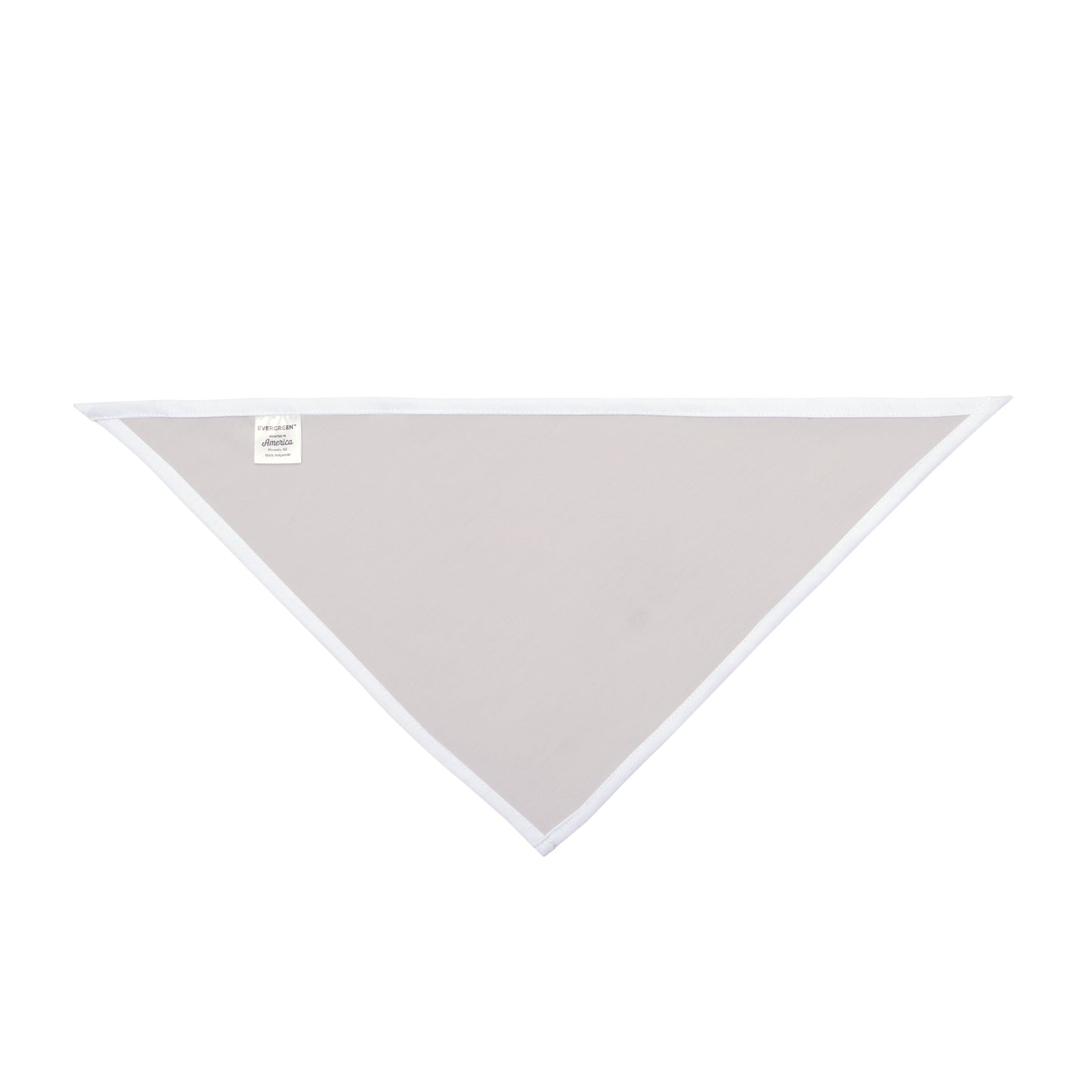 Pet Bandana | Columbia, South Carolina | Light (Orange)