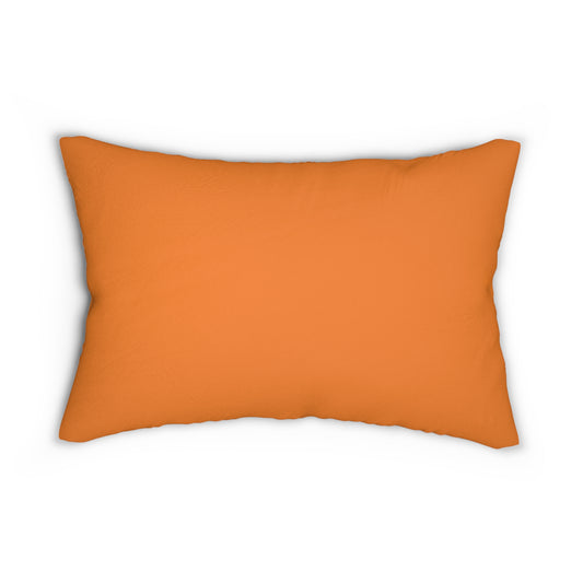 Pillow | Princeton, New Jersey | Light