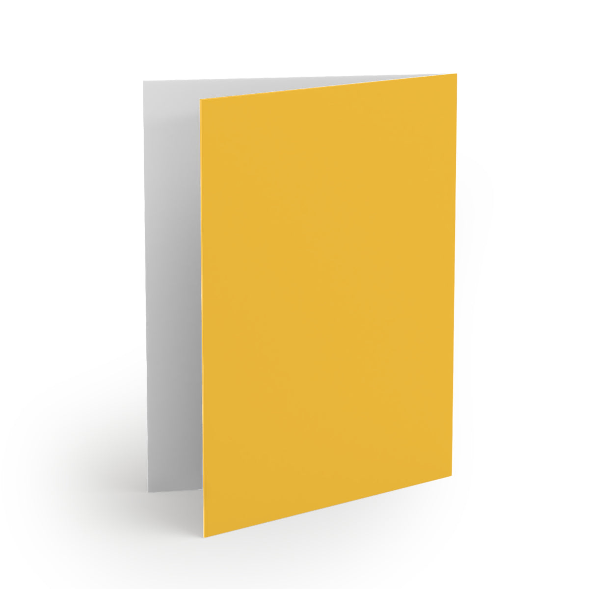 Notecards | Fairfax, Virginia | Light
